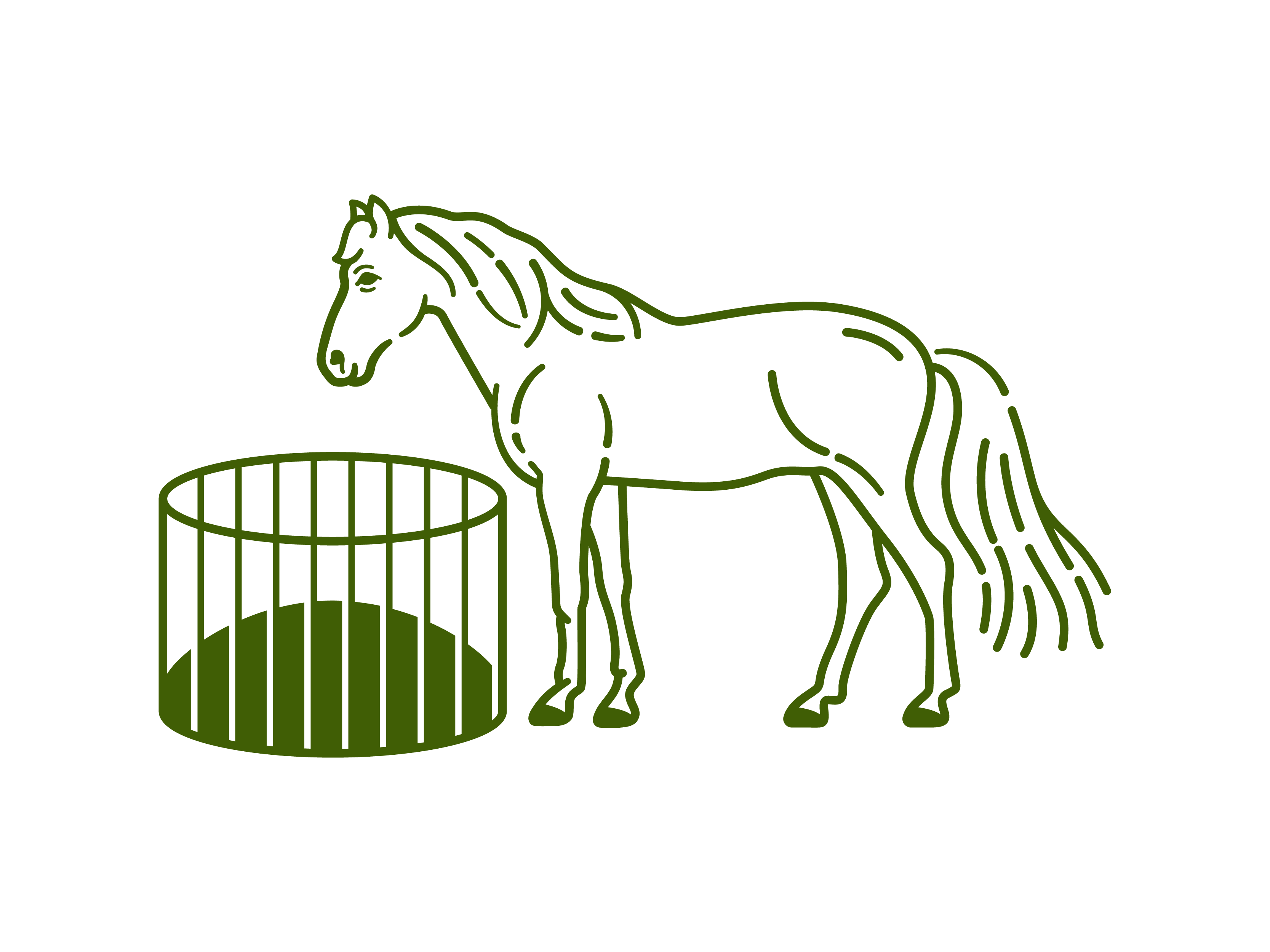 Feeding horses opinia