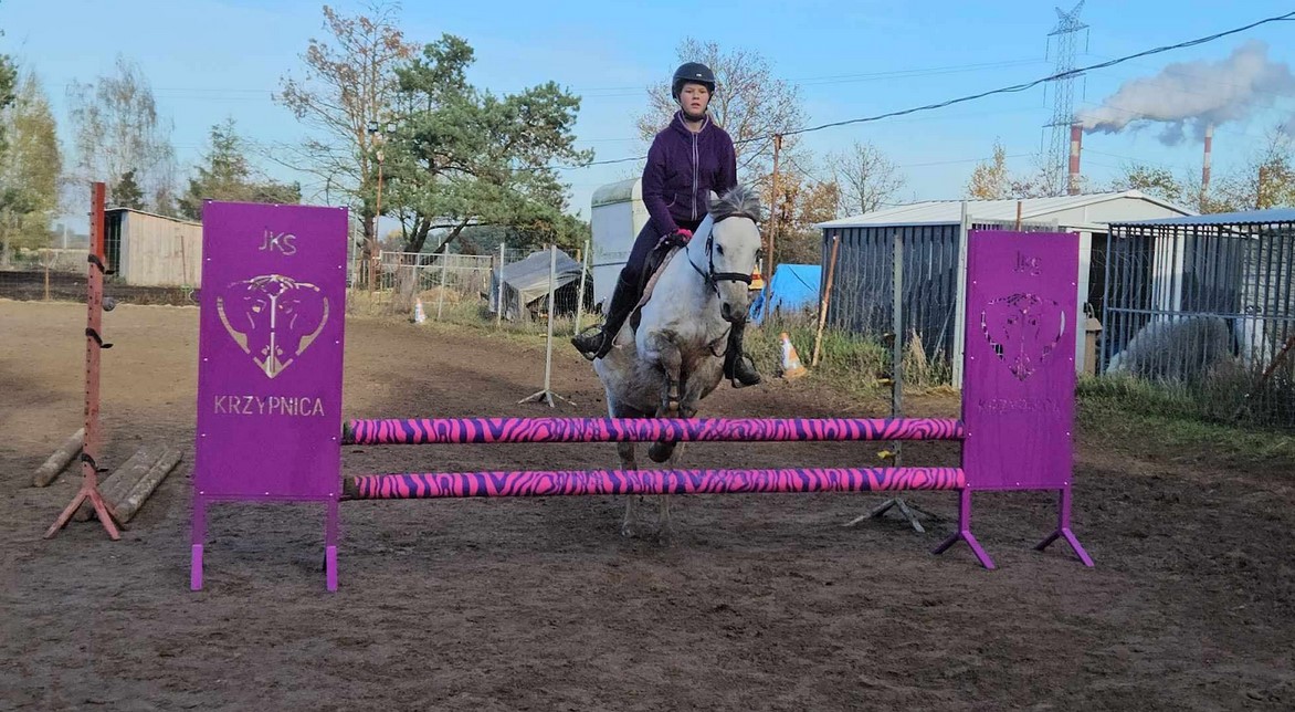 Przykładowa realizacja  