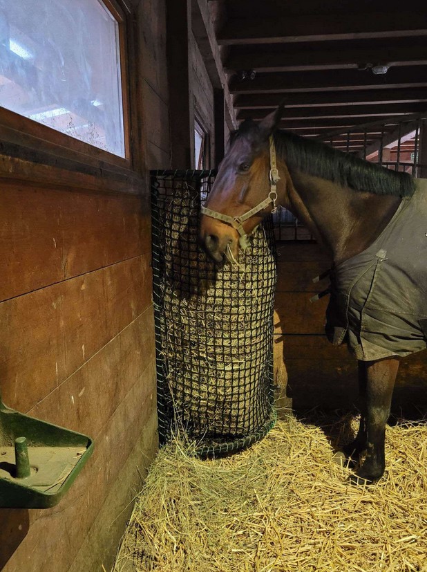 Przykładowa realizacja 