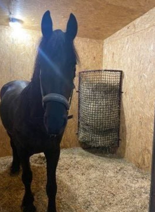 Przykładowa realizacja 