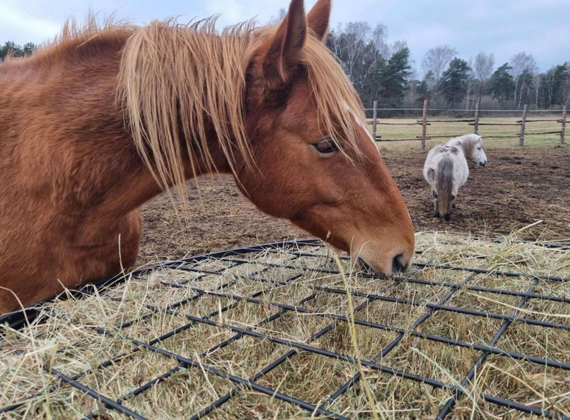 Przykładowa realizacja