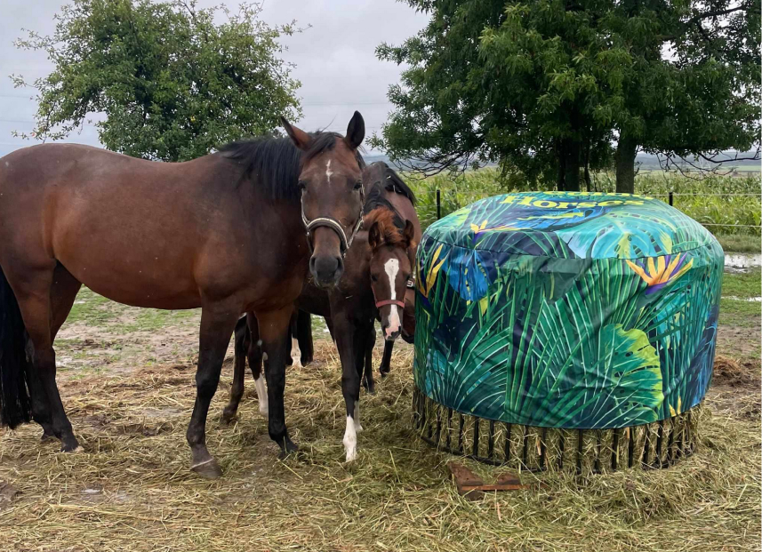 Feeding horses produkt