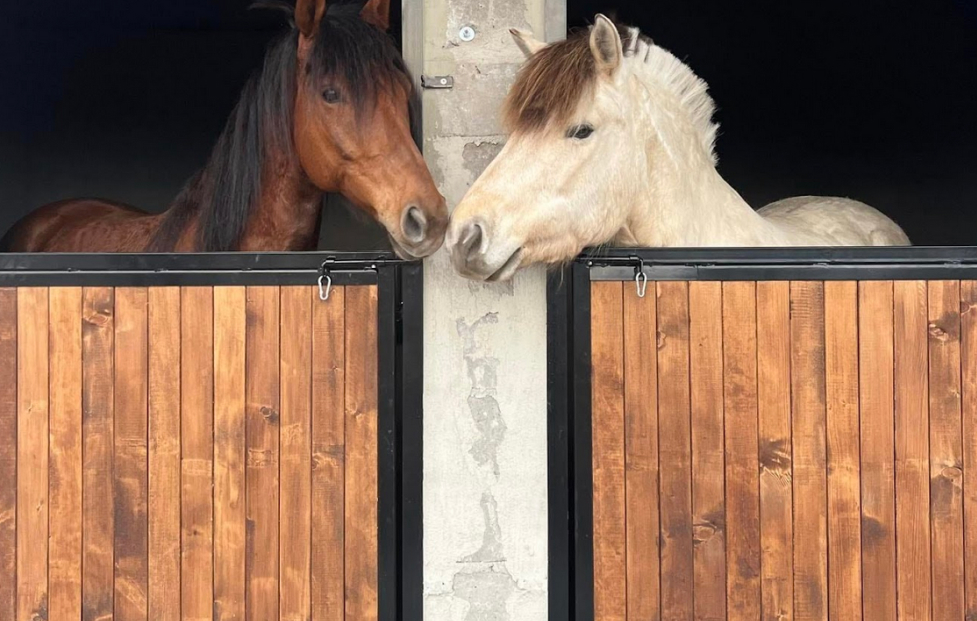 Drzwi i przegrody boksów