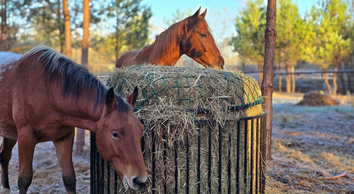 Przykładowa realizacja