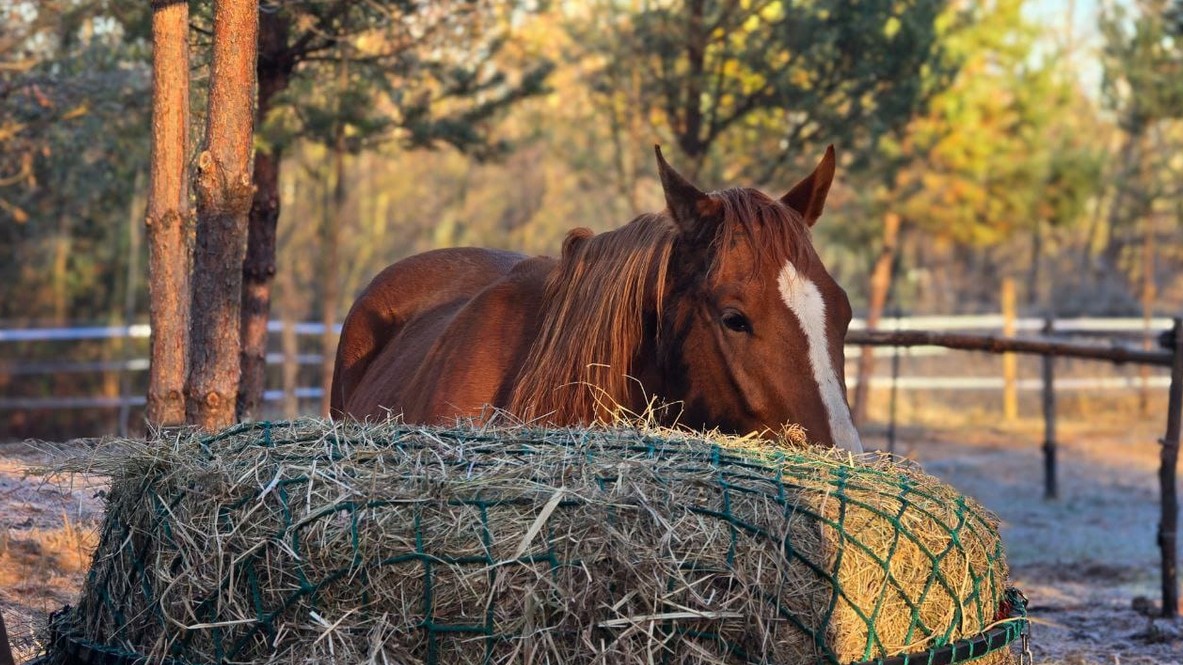 Przykładowa realizacja