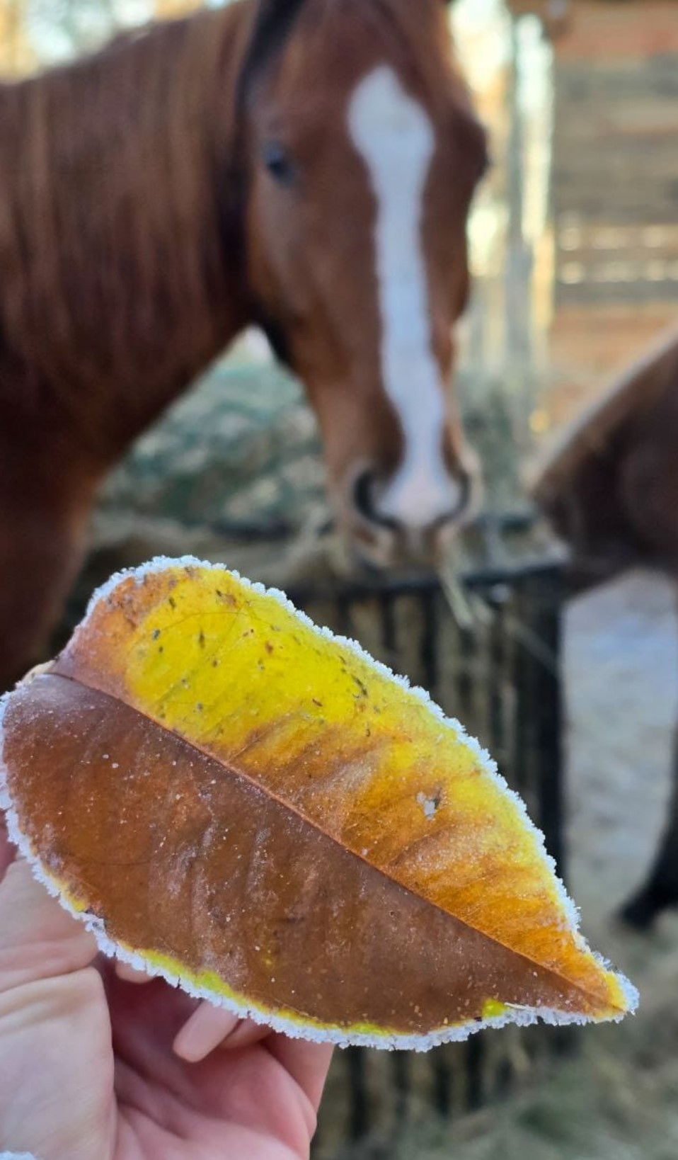 Przykładowa realizacja