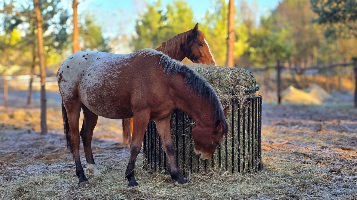 Przykładowa realizacja