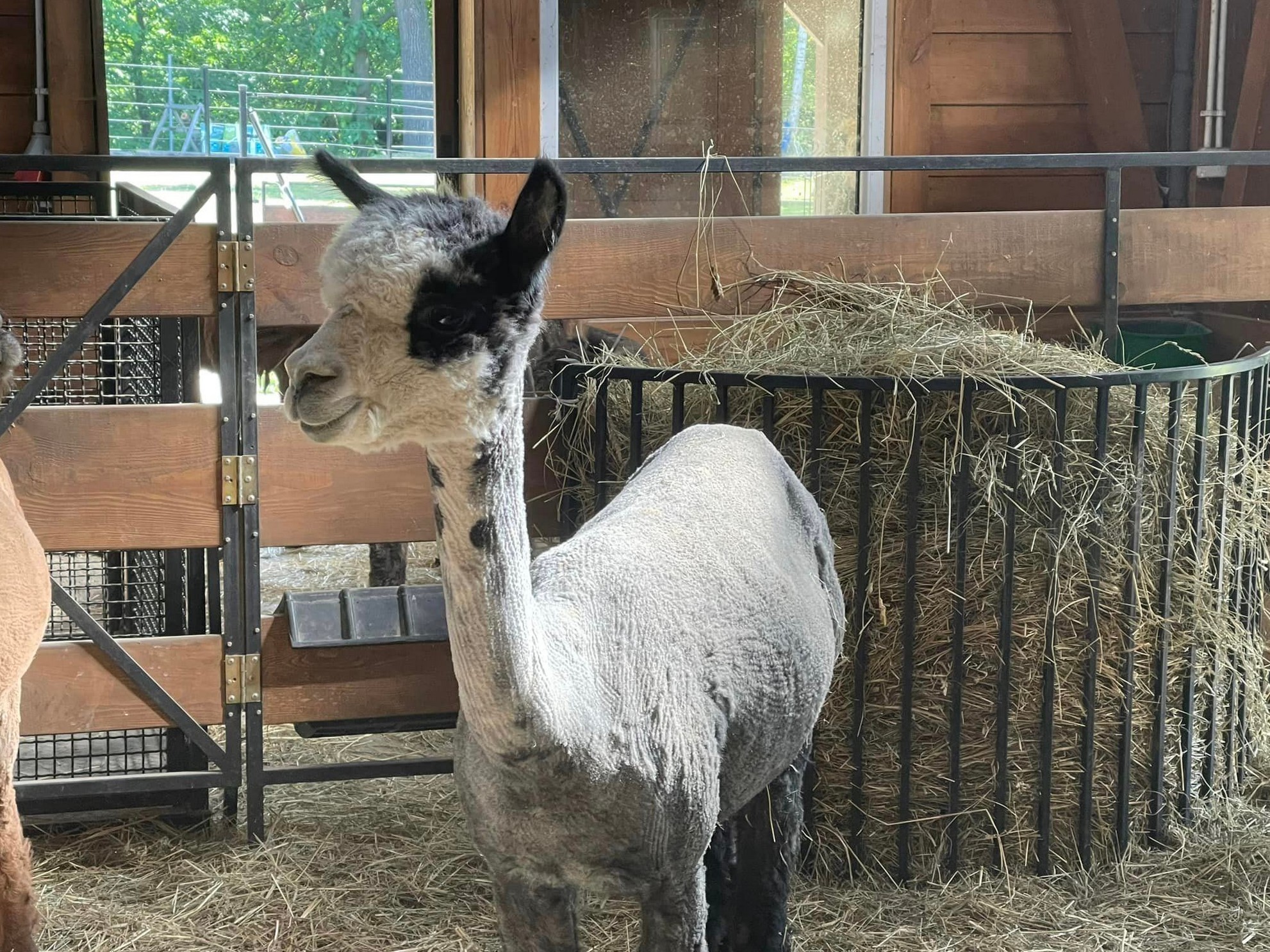 Przykładowa realizacja 