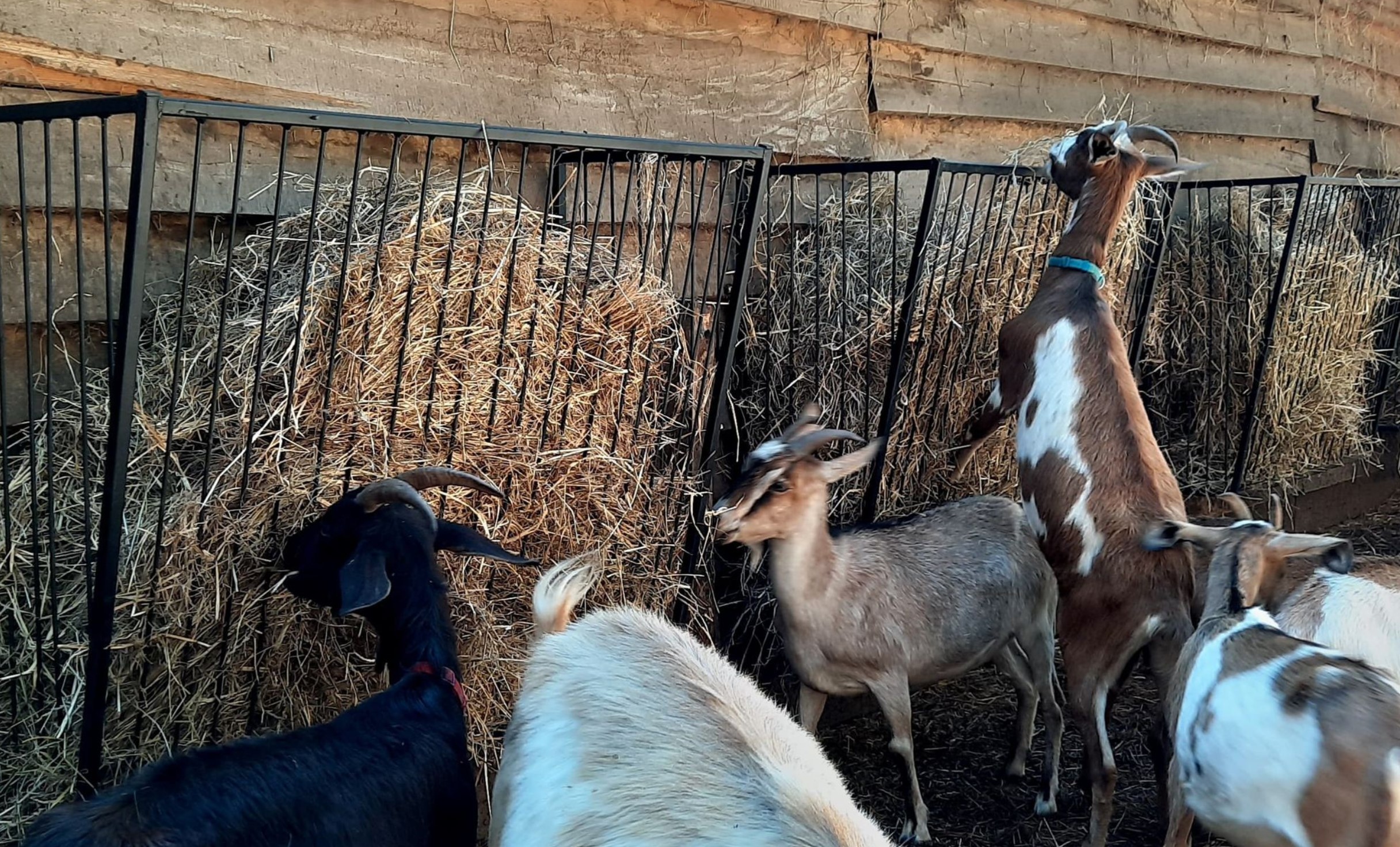 Przykładowa realizacja 