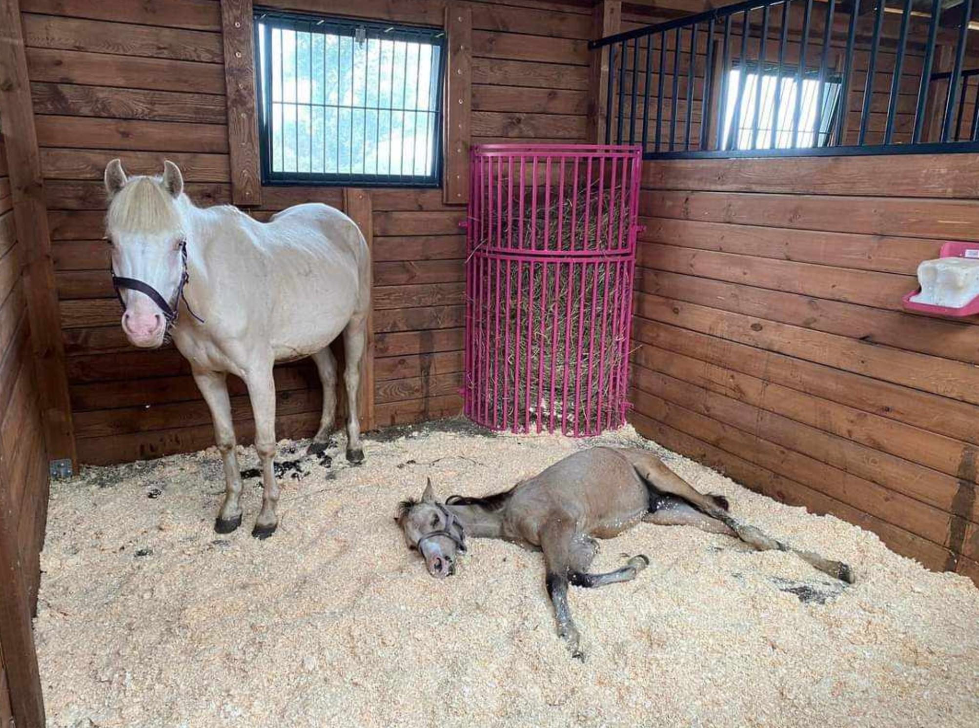 Przykładowa realizacja 