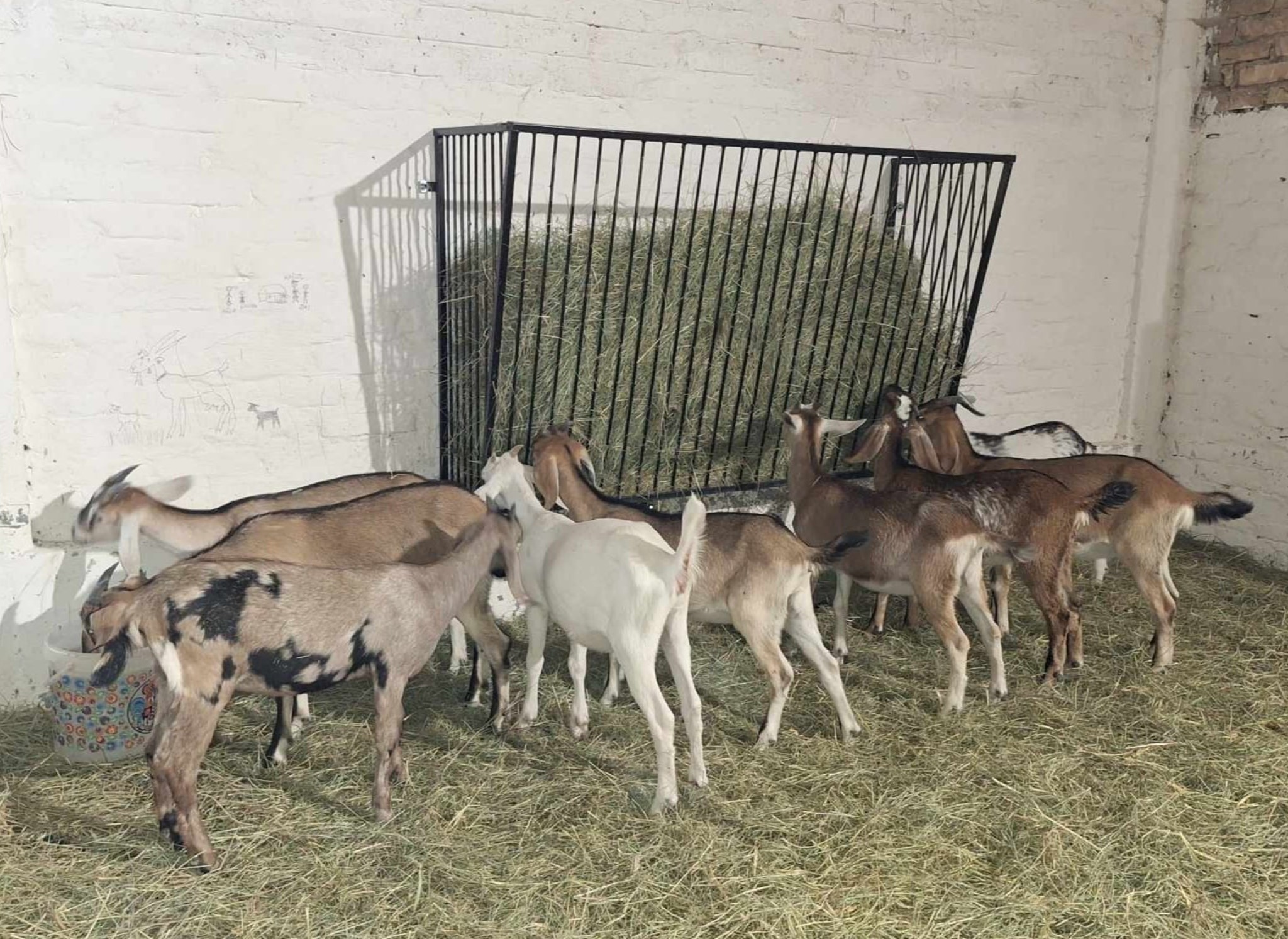 Przykładowa realizacja 