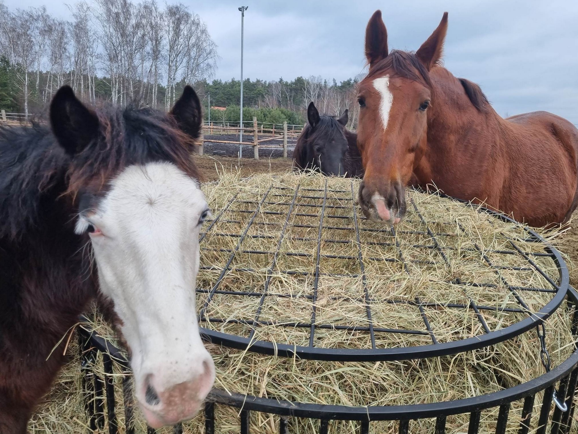 Przykładowa realizacja