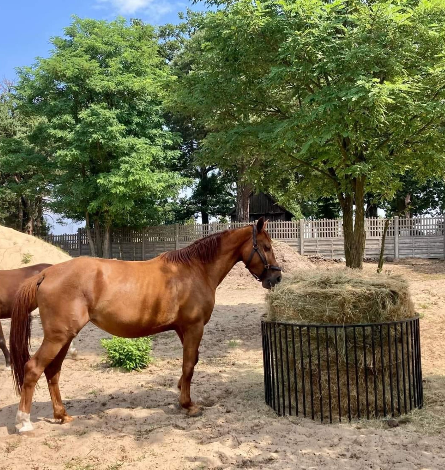 Przykładowa realizacja