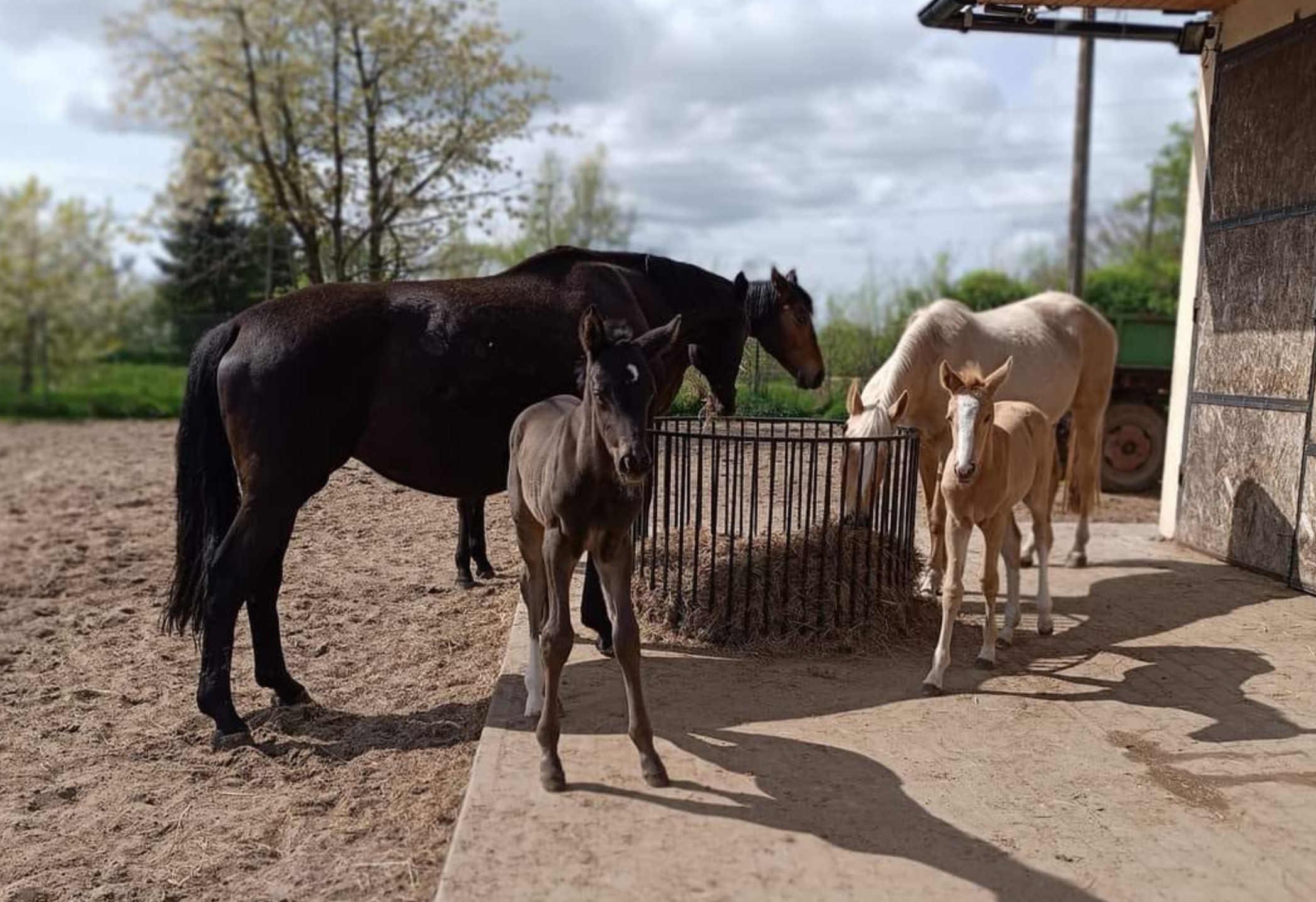 Przykładowa realizacja