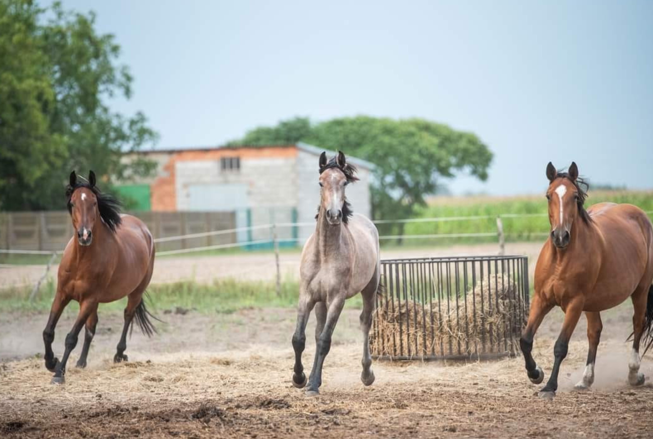 Przykładowa realizacja