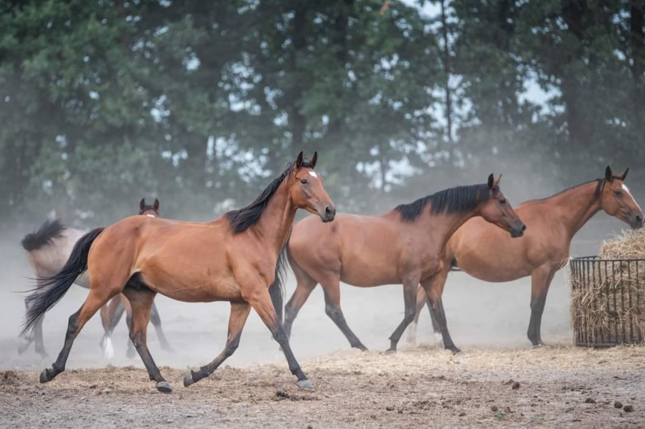 Przykładowa realizacja