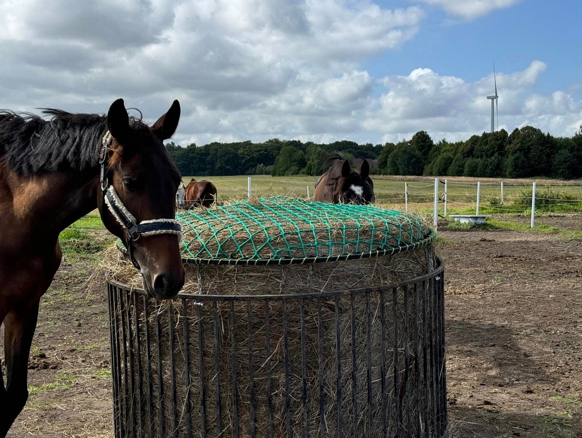 Przykładowa realizacja