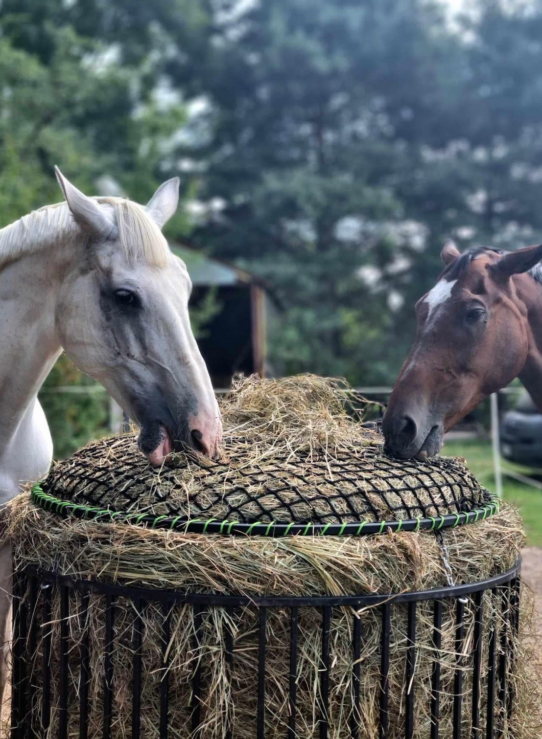 Przykładowa realizacja