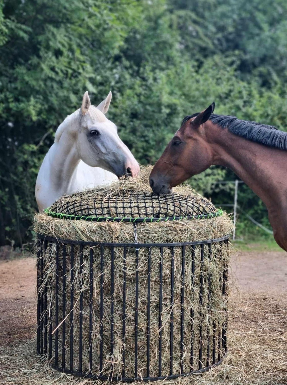 Przykładowa realizacja