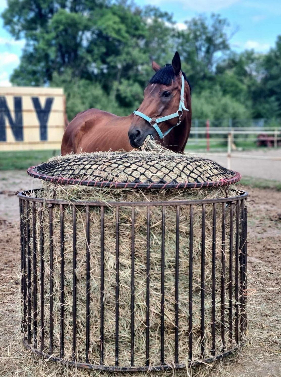 Przykładowa realizacja