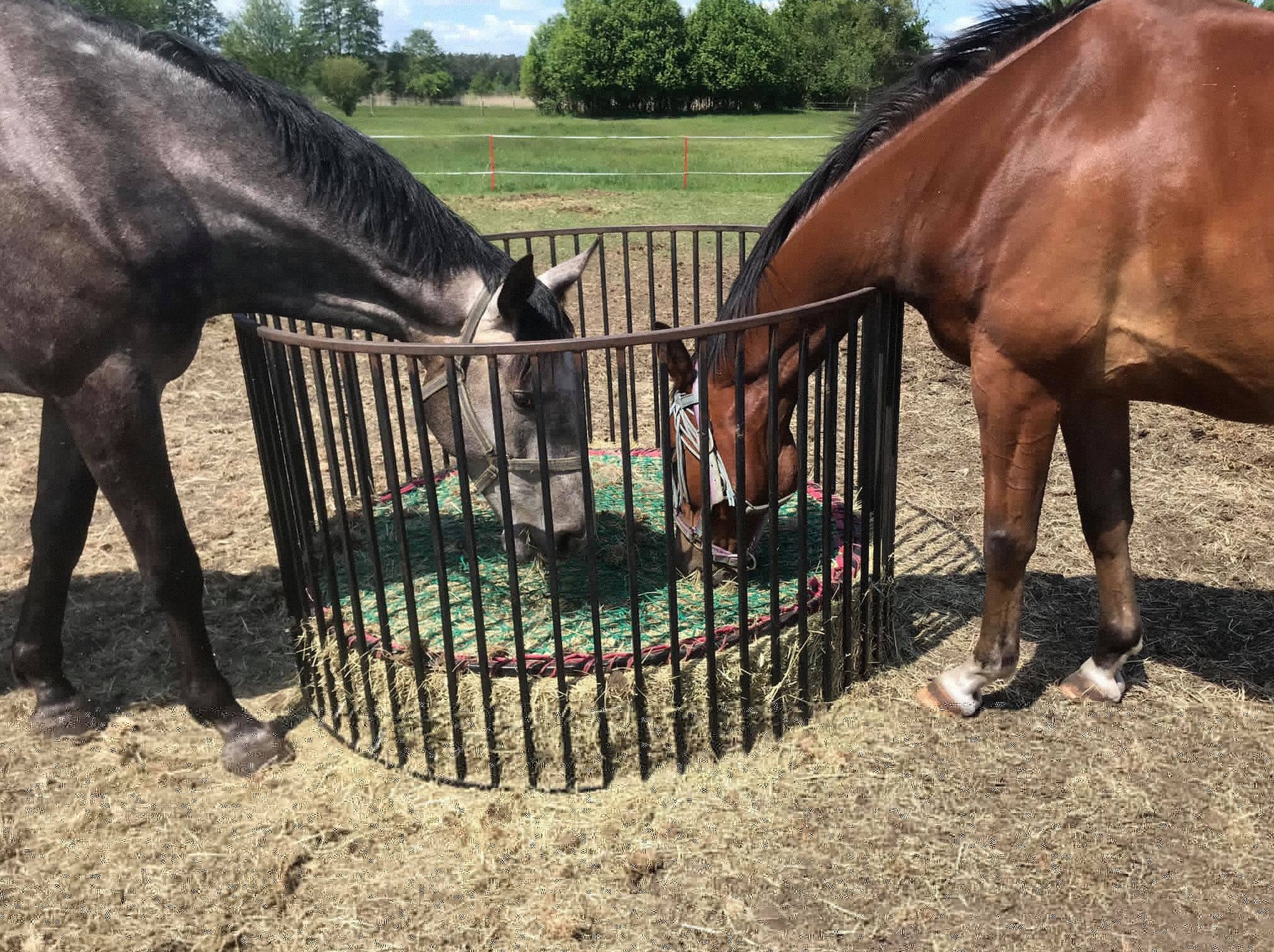 Przykładowa realizacja