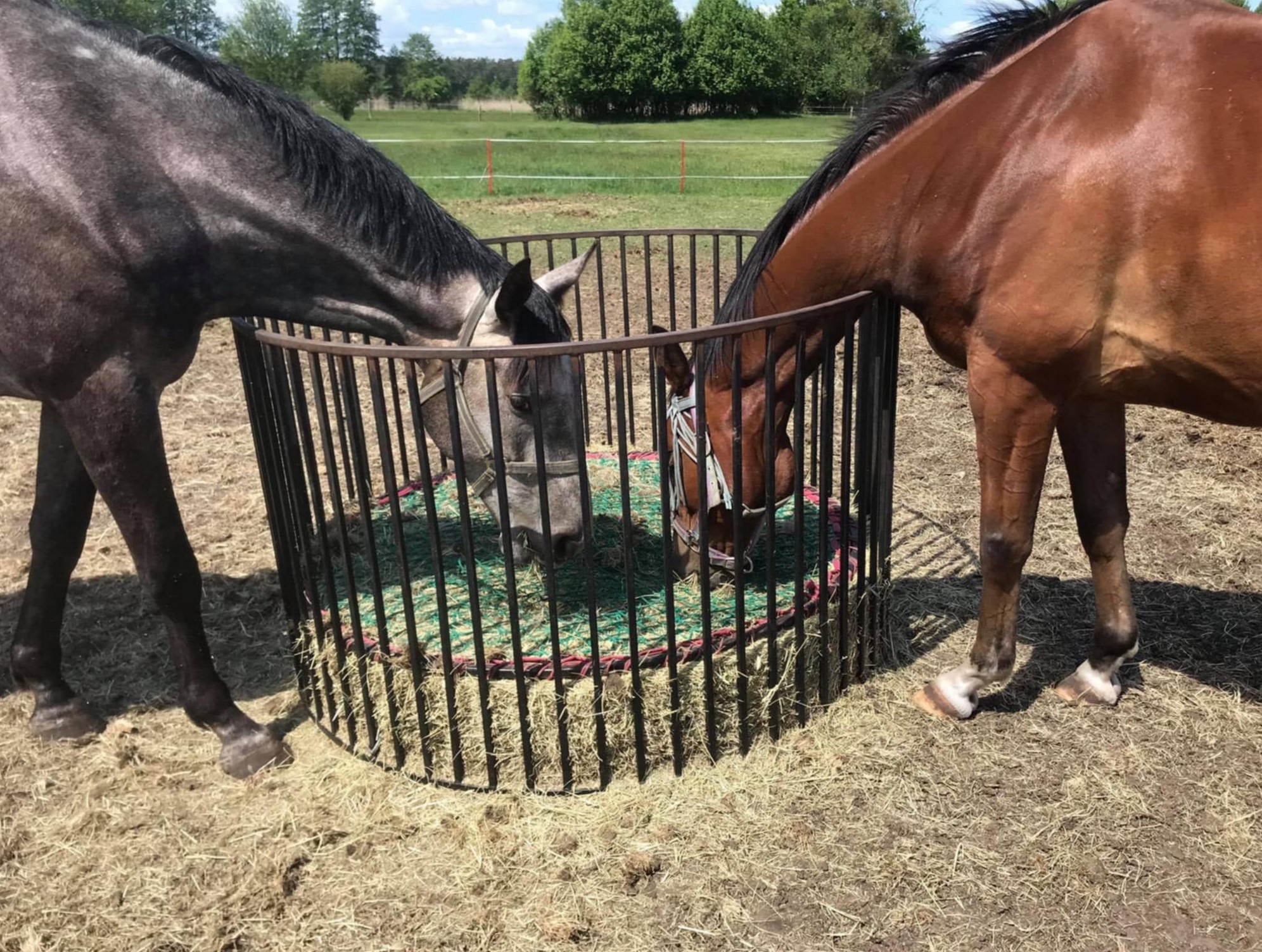 Przykładowa realizacja