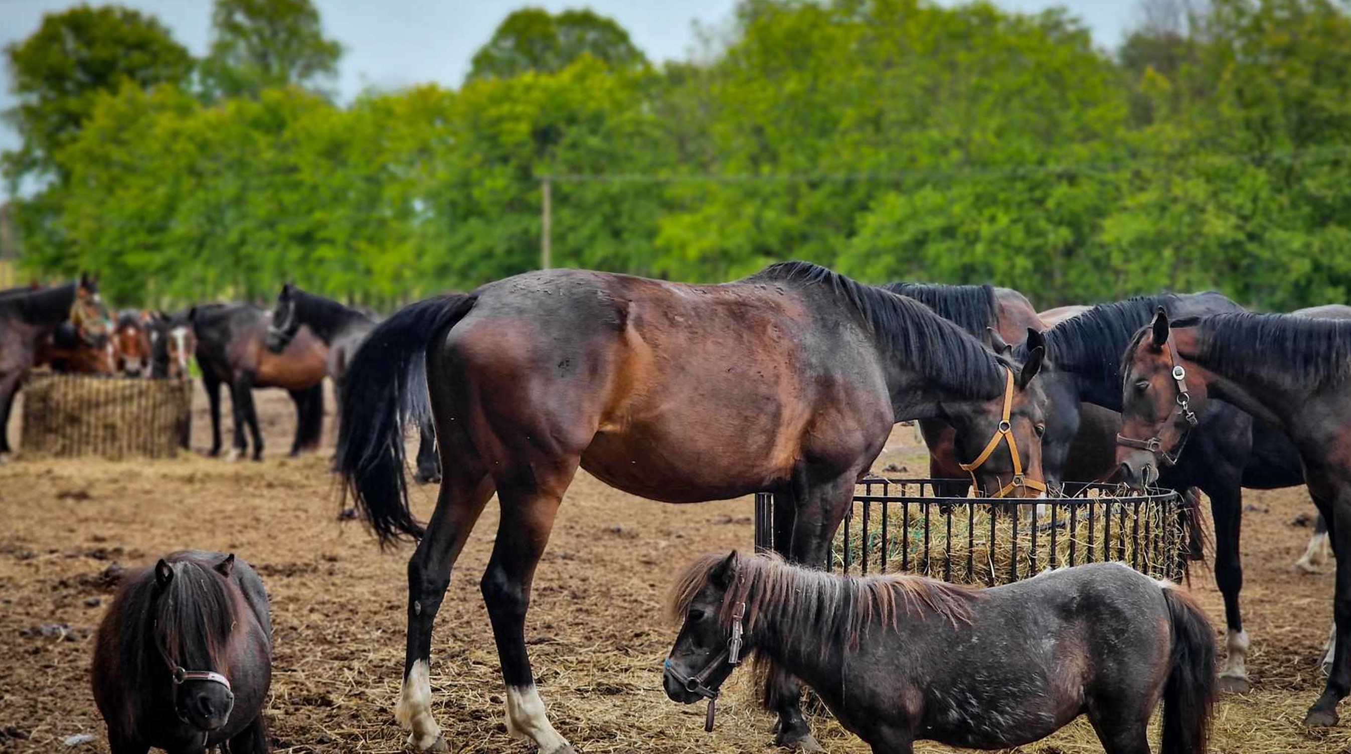 Przykładowa realizacja