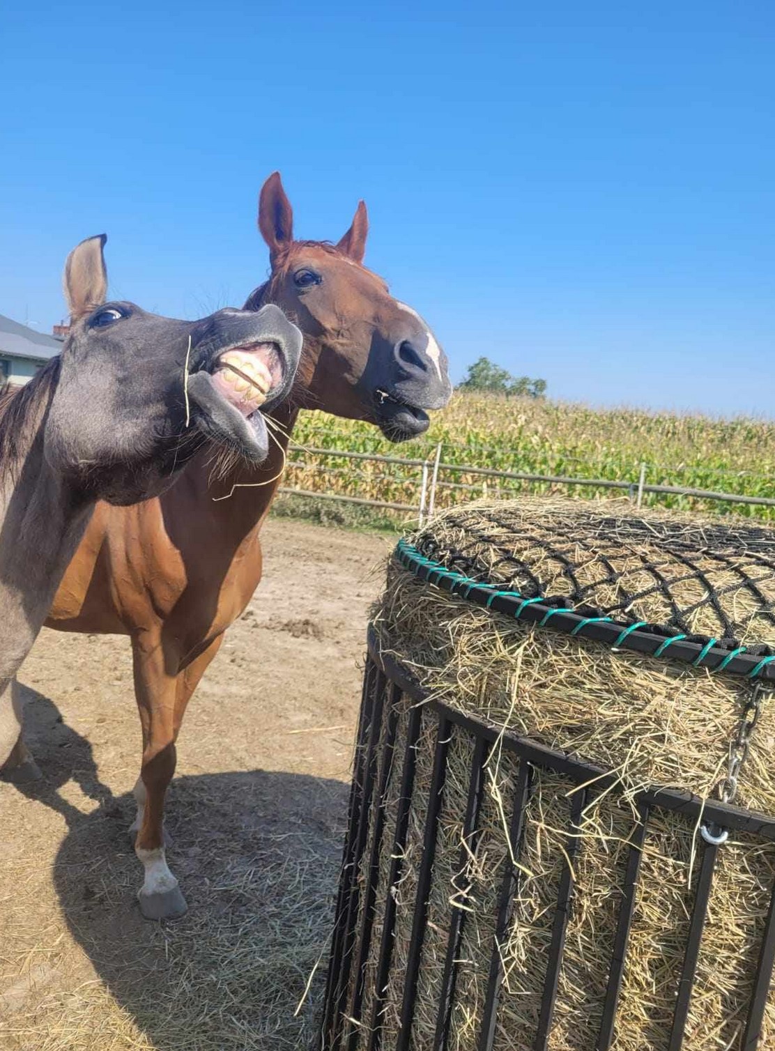 Przykładowa realizacja