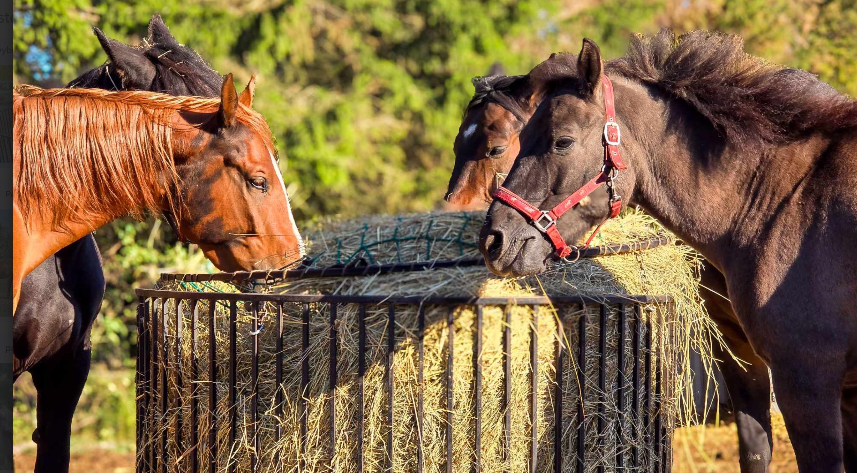 Przykładowa realizacja