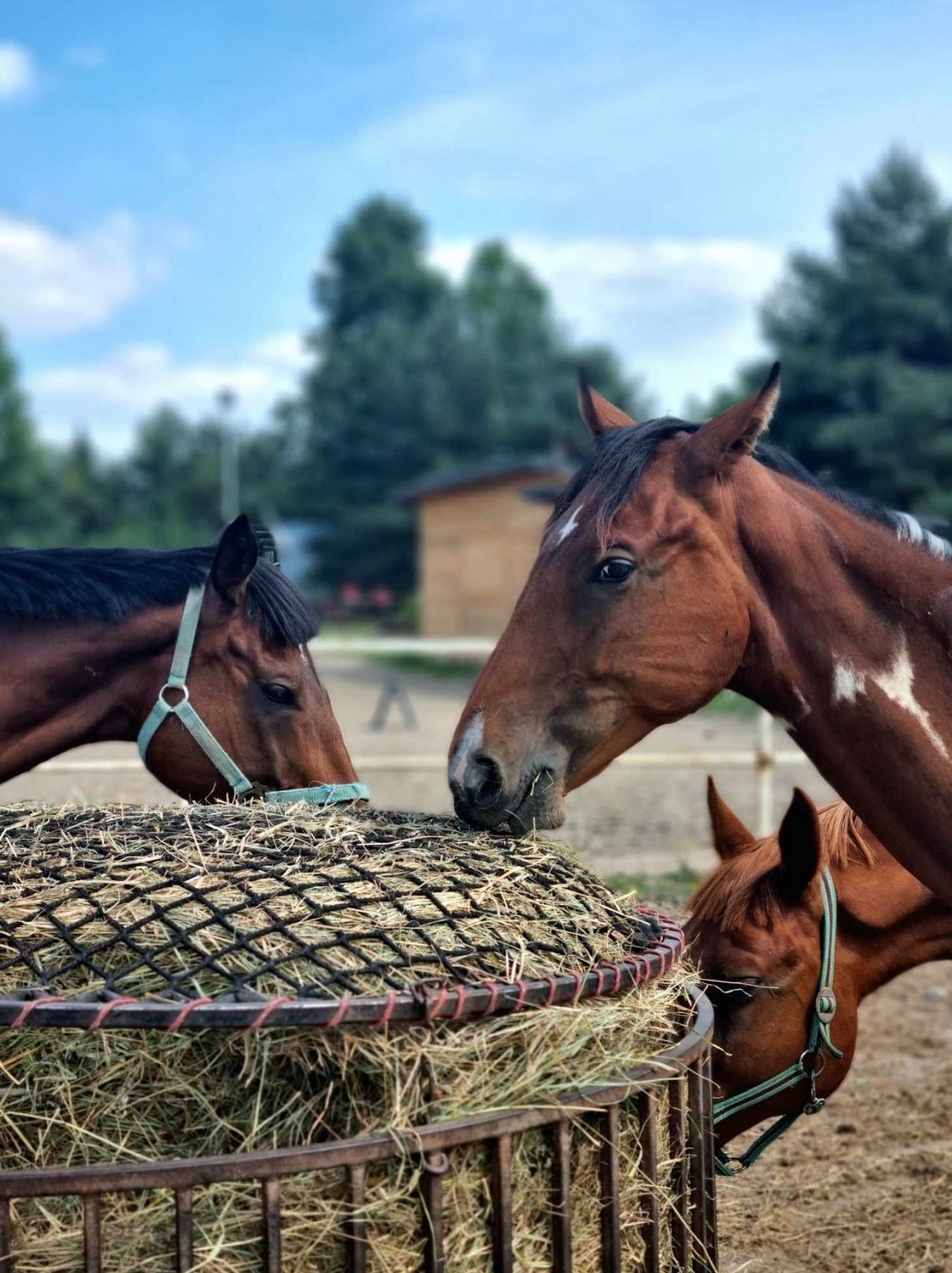 Przykładowa realizacja