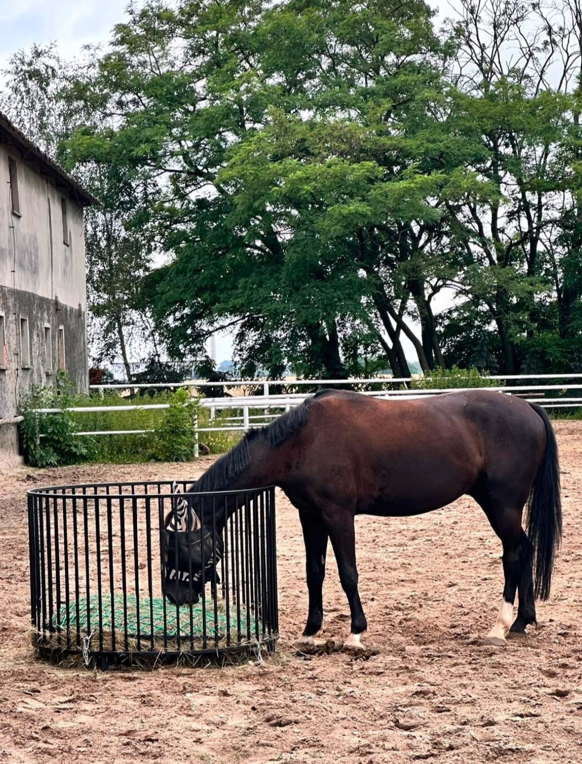 Przykładowa realizacja