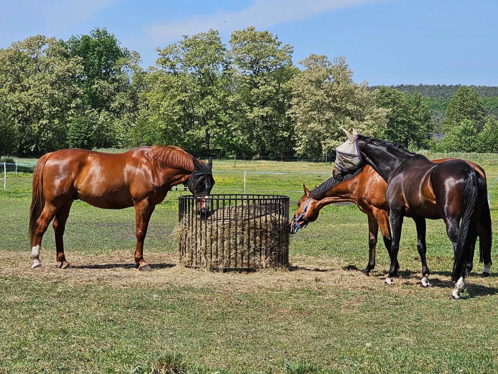 Przykładowa realizacja