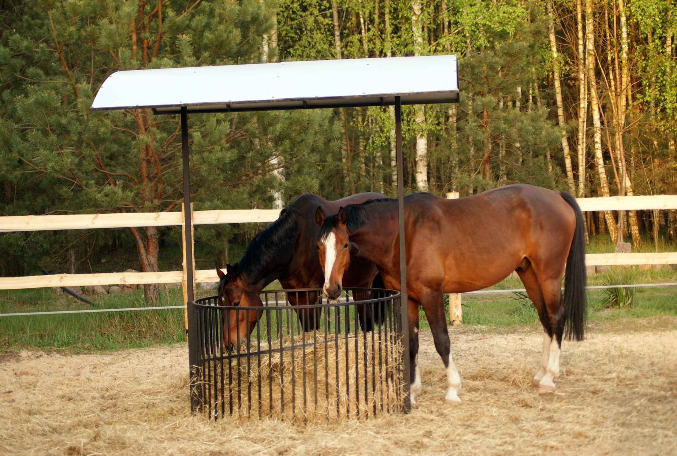 Przykładowa realizacja