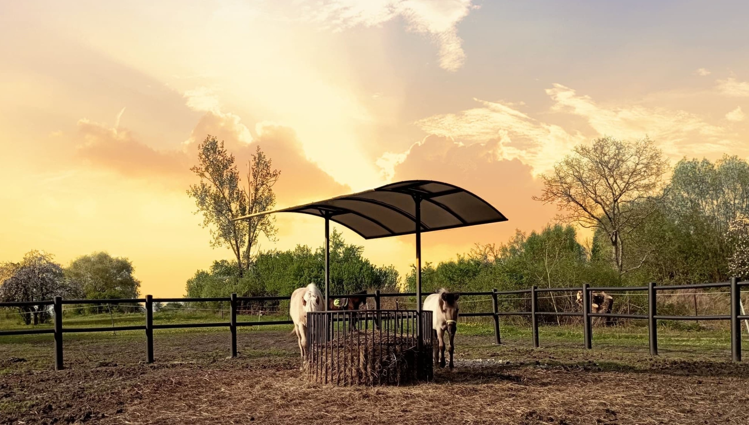 Przykładowa realizacja