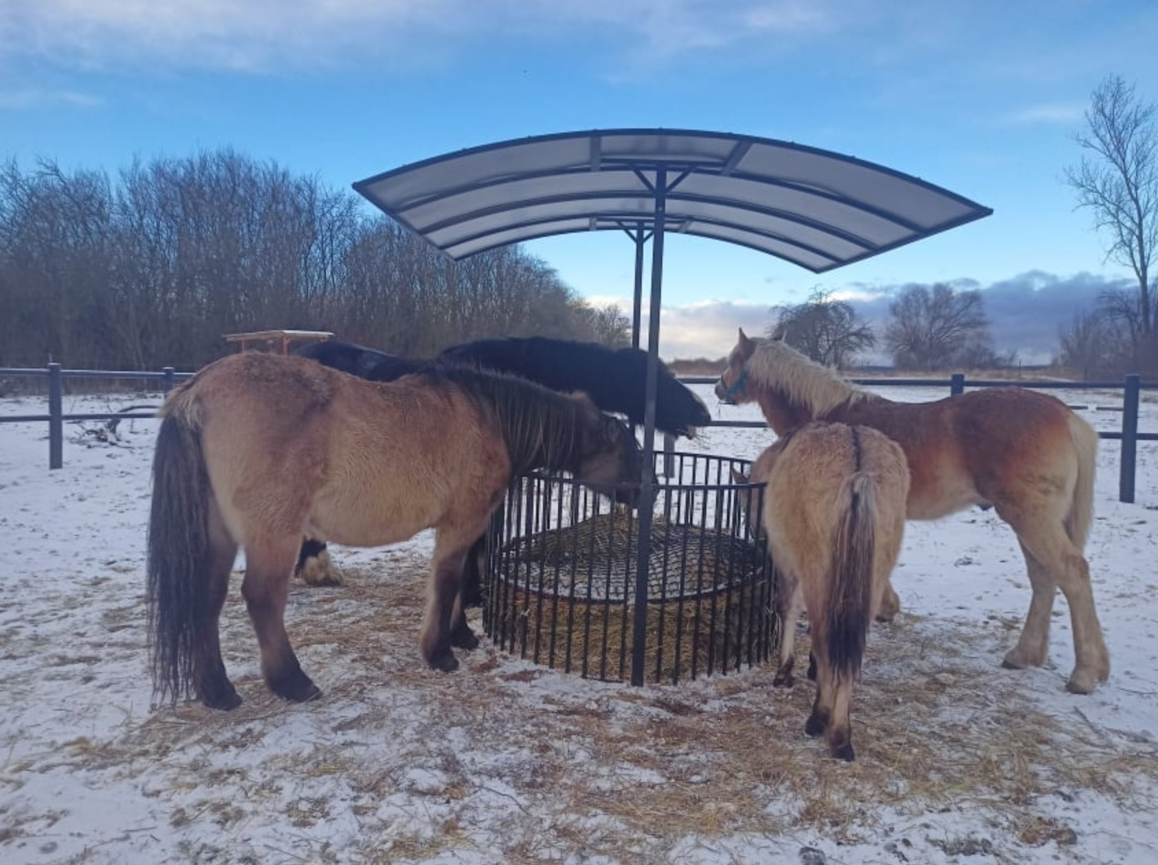 Przykładowa realizacja