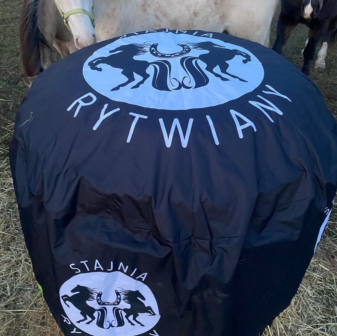 Przykładowa realizacja 