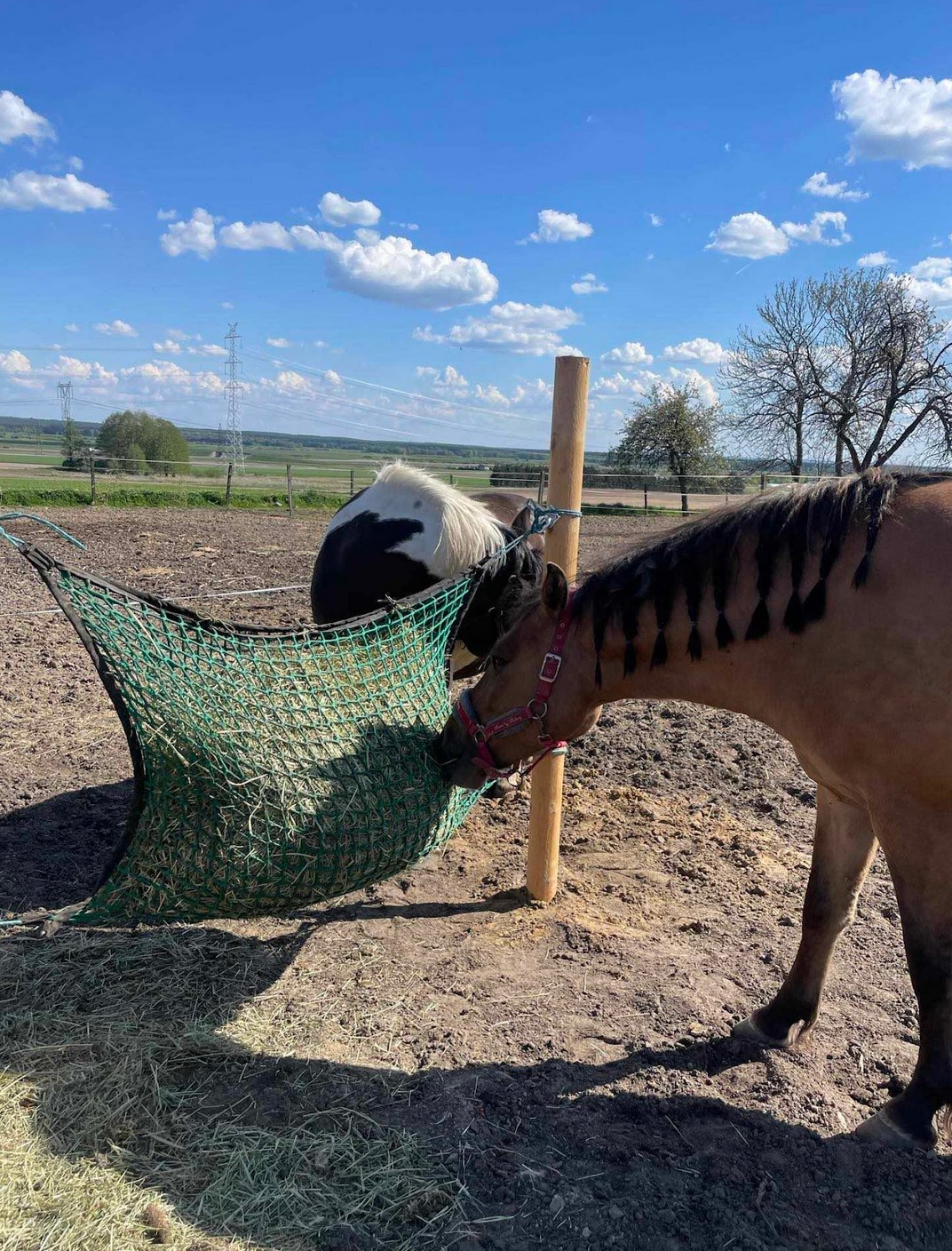 Przykładowa realizacja siatki