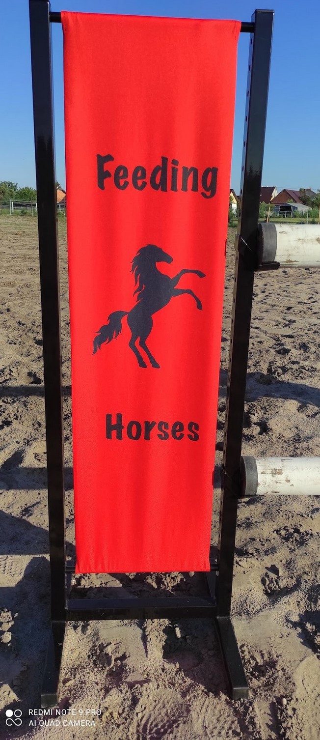 Przykładowa realizacja  