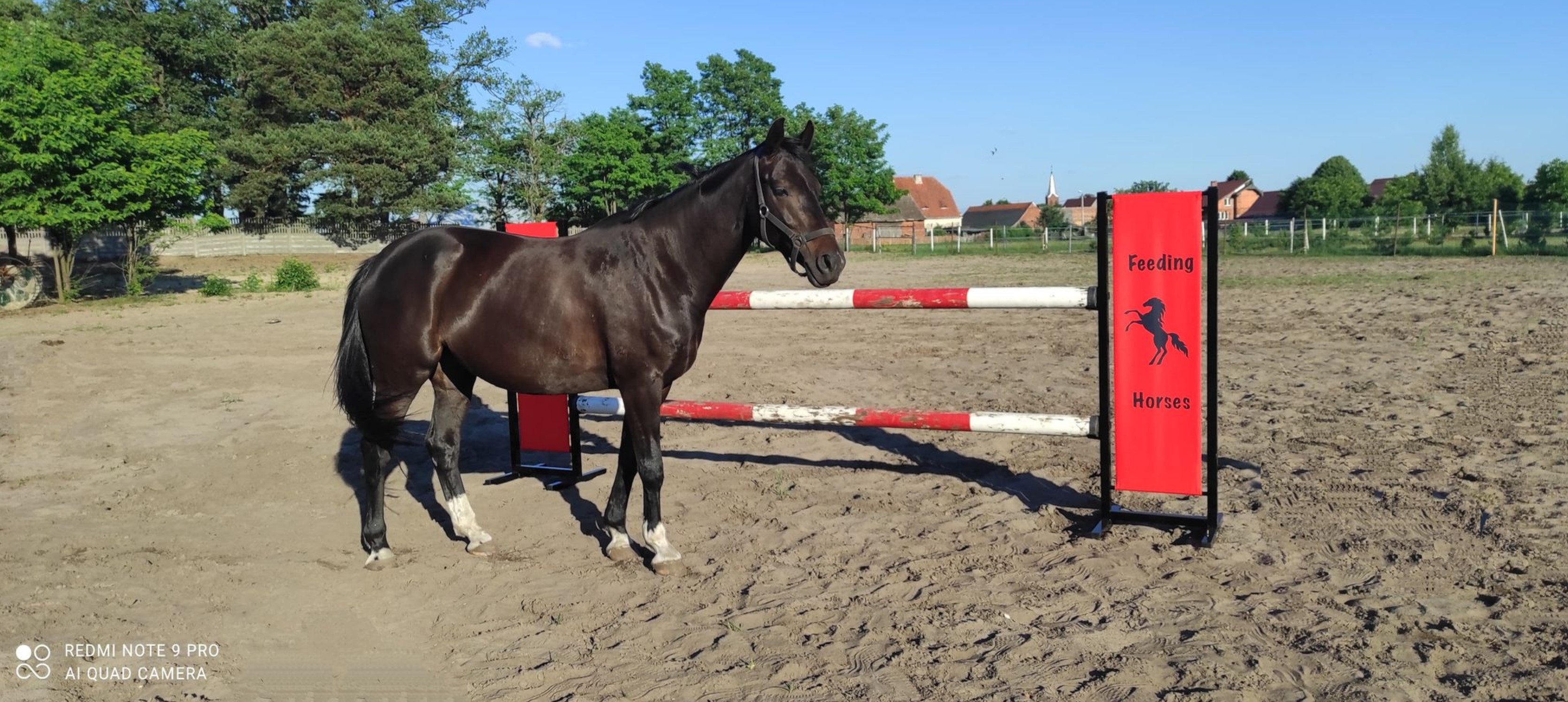 Przykładowa realizacja  