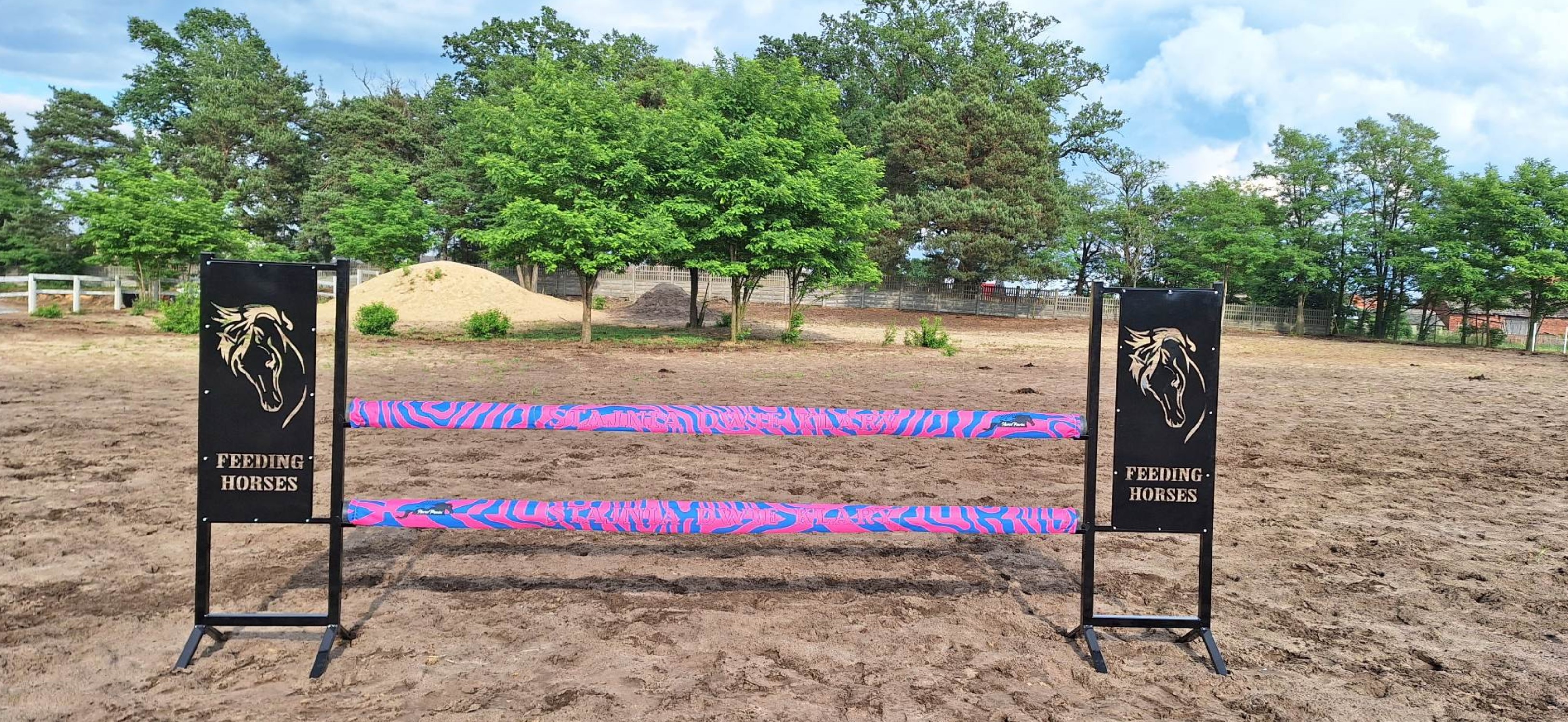 Przykładowa realizacja  