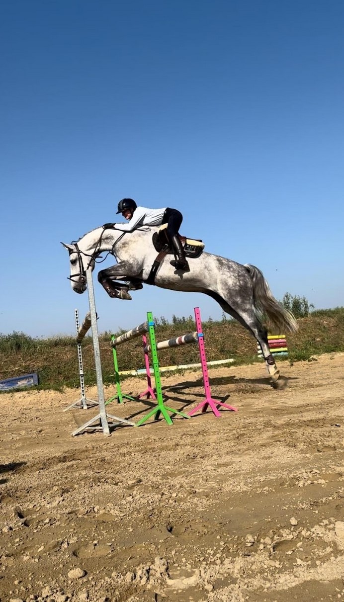 Przykładowa realizacja 